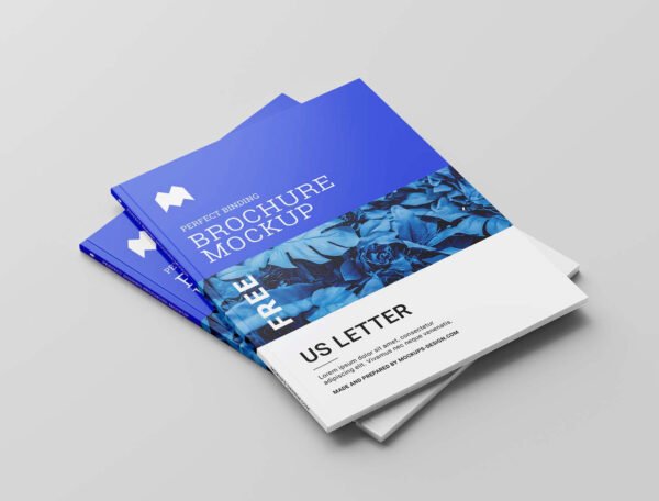 170 GSM Glossy Paper Brochure (Size: A3 to A4 Folding) - Image 4