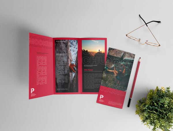 100 GSM Woodfree Paper Brochure (Size: A4 Tryfold) - Image 4