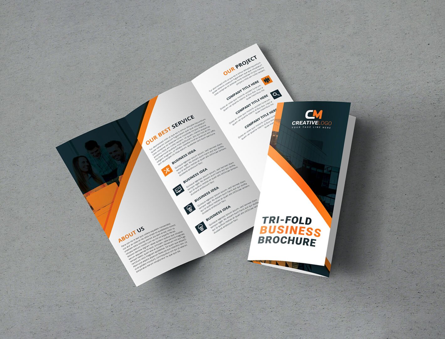 100 GSM Woodfree Paper Brochure (Size: A4 Tryfold)