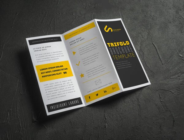 135 GSM Glossy Paper Brochure (Size: A3 Tryfold) - Image 2