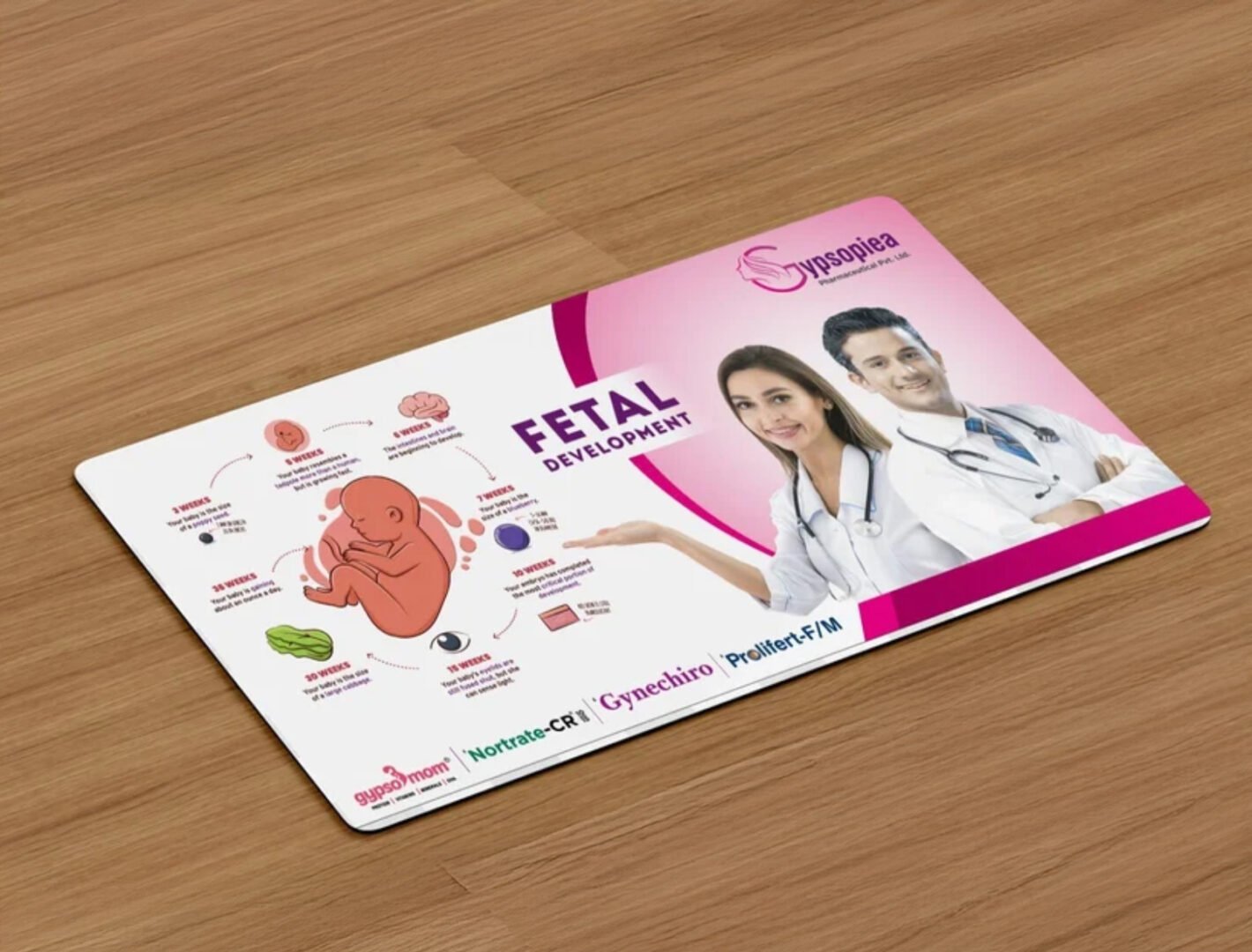 135 GSM Glossy Paper Table Mat  (Size: 30x42 cm)