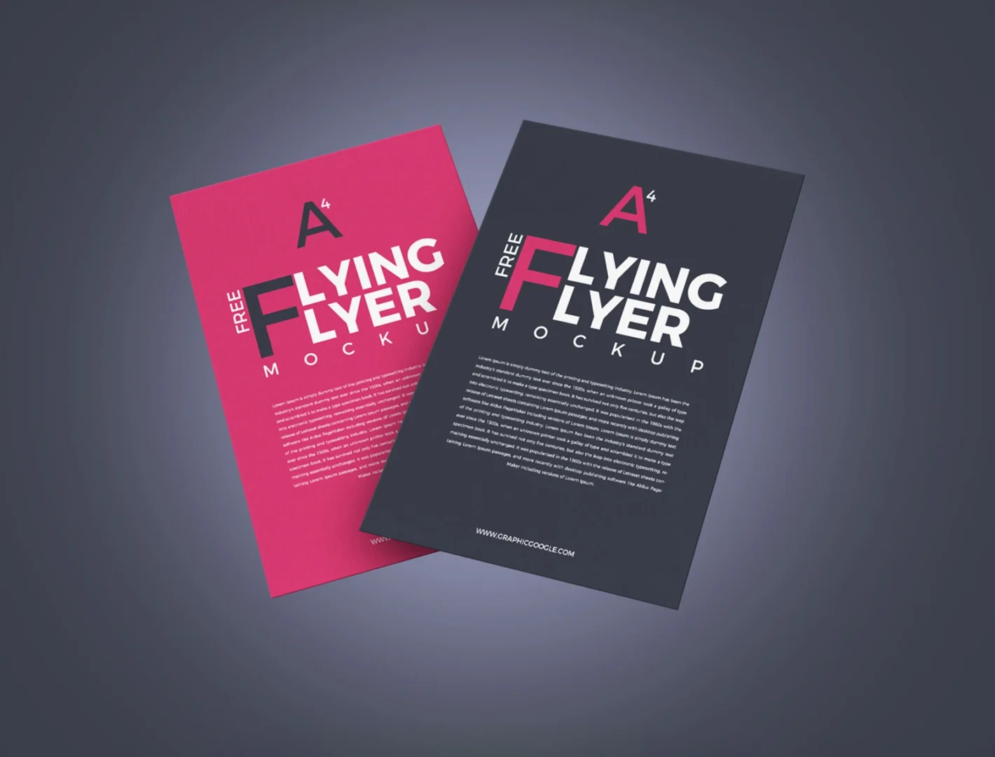 170 GSM Glossy Paper Flyer (Size: A6)