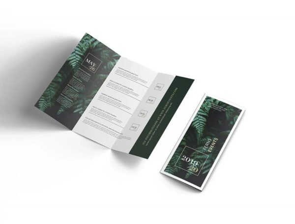 170 GSM Glossy Paper Brochure (Size: A4 Tryfold) - Image 4